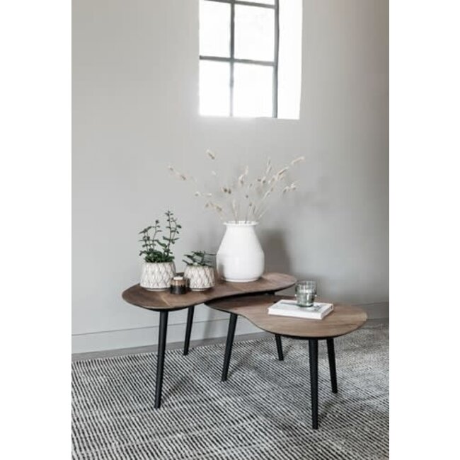 Salontafel Organus | naturel | set van 2