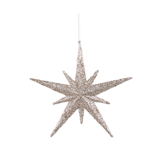 Xmas Jinna plastic champagne hanging deco star