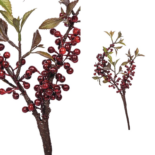 Berry plant burgundy spray with berries small