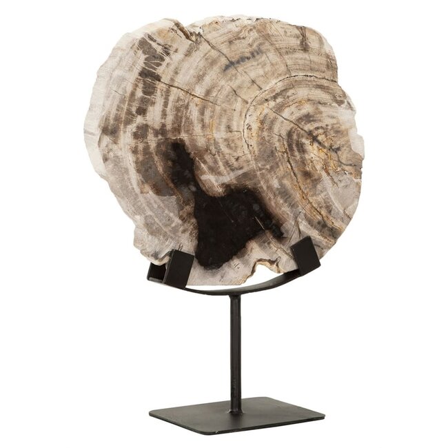 statue fossil 33x26x11 cm petrified wood on base