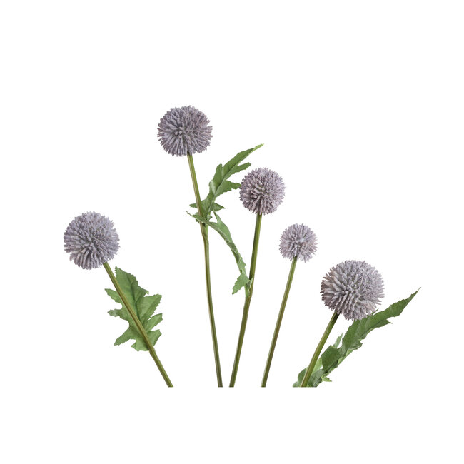 Twig Plant blue craspedia spray