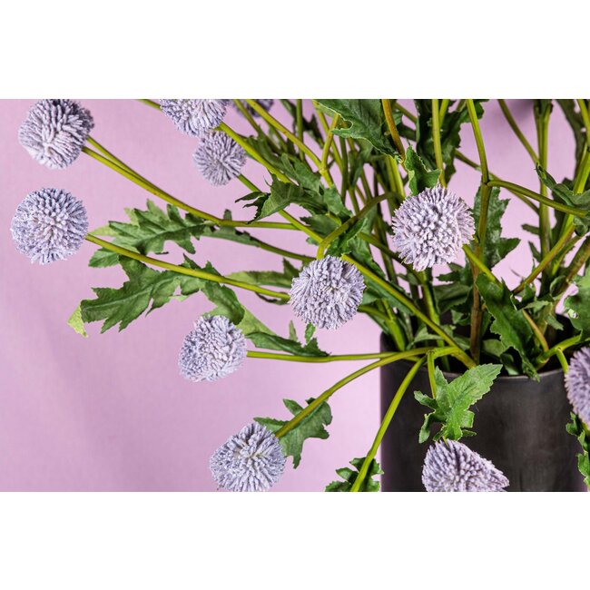 Twig Plant blue craspedia spray