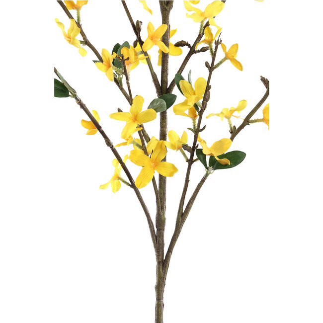 Garden Flower yellow forsythia spray