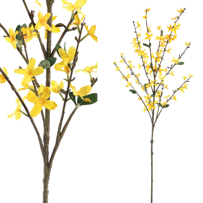 Garden Flower yellow forsythia spray
