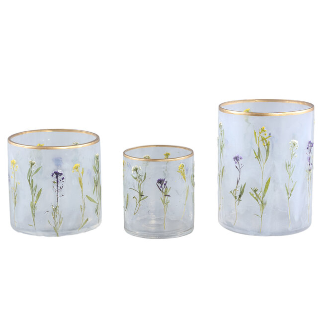 Copo Clear glass stormlight flowers a S