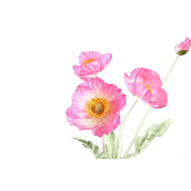 Poppy Flower Pink spray with 3 flowers and bud
