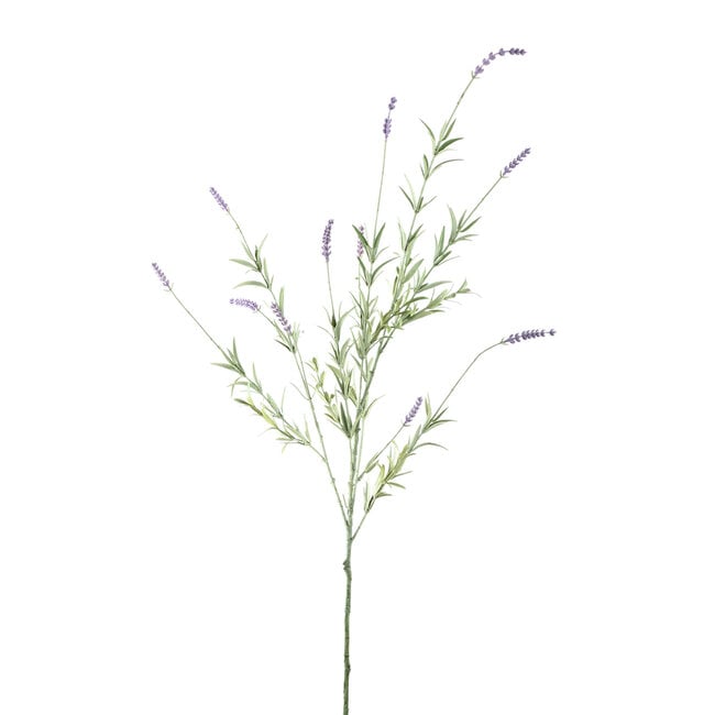 Twig Plant Purple lavender spray