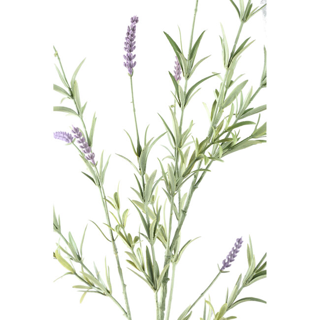Twig Plant Purple lavender spray