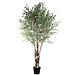 PTMD Tree green olive in plastic pot 140x140x265 cm