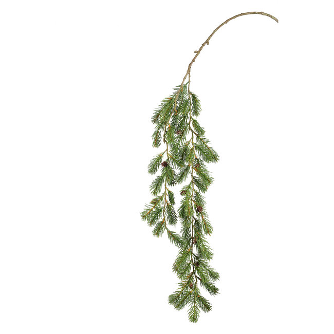 Twig plant hanging green pine spray with pinecones
