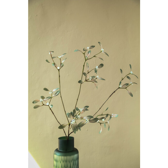 Leaves Plant green mistletoe spray