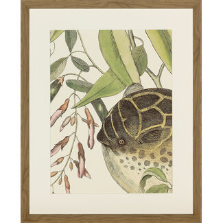 Ablo Blommaert kader fish  45x55 cm