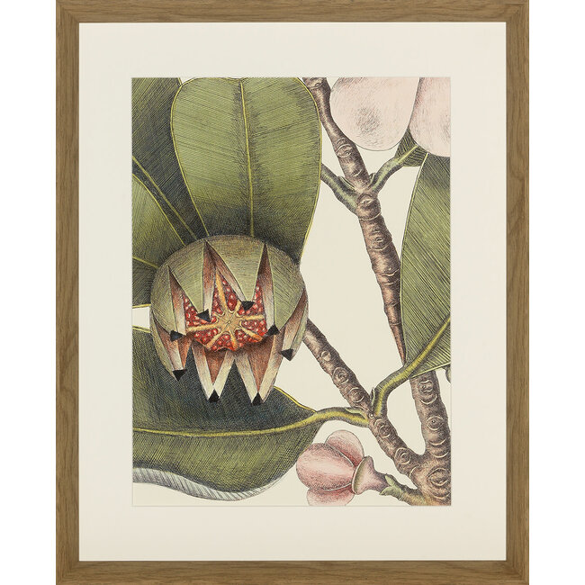 kader Balsam 45x55 cm