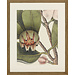 Ablo Blommaert kader Balsam 45x55 cm