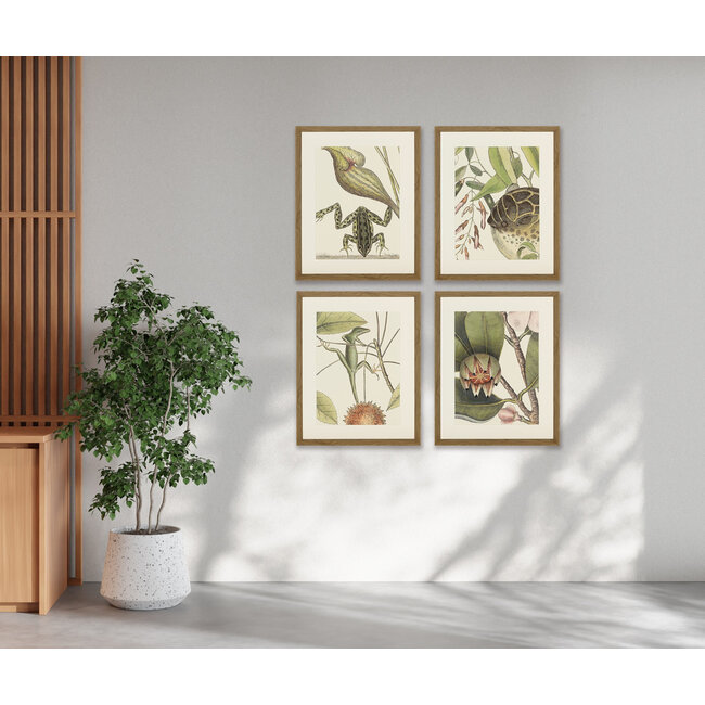 kader Balsam 45x55 cm