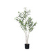 PTMD Tree green olive tree in pot s