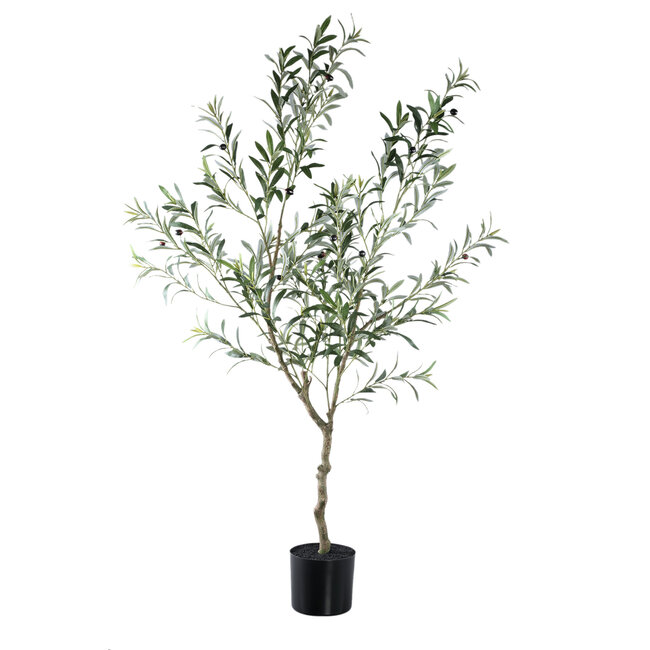 Tree  green olive tree in pot L