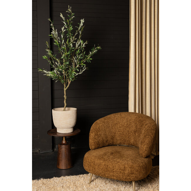 Tree  green olive tree in pot L