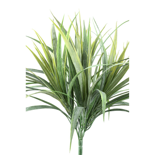 Leaves plant green field grass bush 38.0 x 27.0 x 43.0 cm