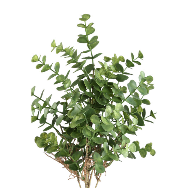 PTMD Leaves plant green eucalyptus bush bundel eucalyptus 30.0 x 15.0 x 40.0 cm