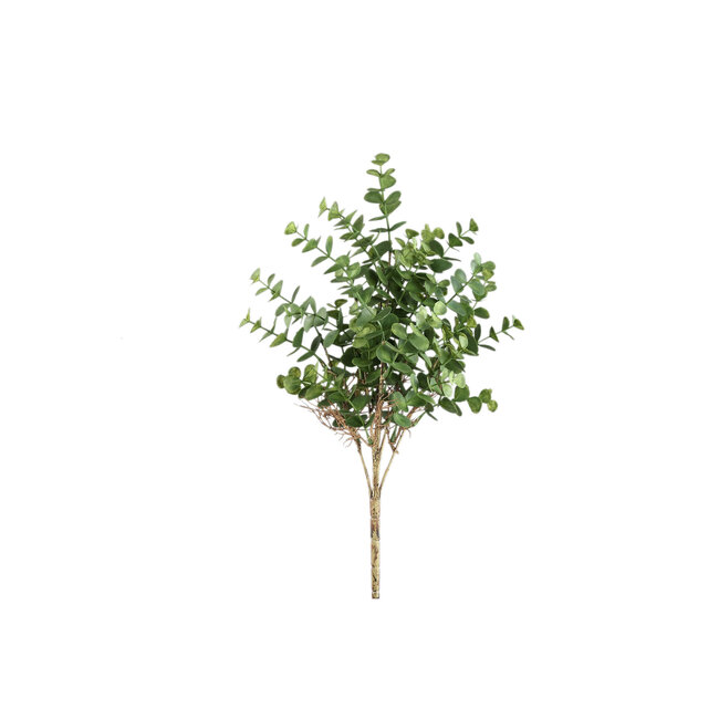 Leaves plant green eucalyptus bush bundel eucalyptus 30.0 x 15.0 x 40.0 cm
