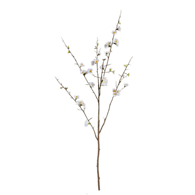Blossom flower white cherry blossom s 66.0 x 54.0 x 121.0 cm