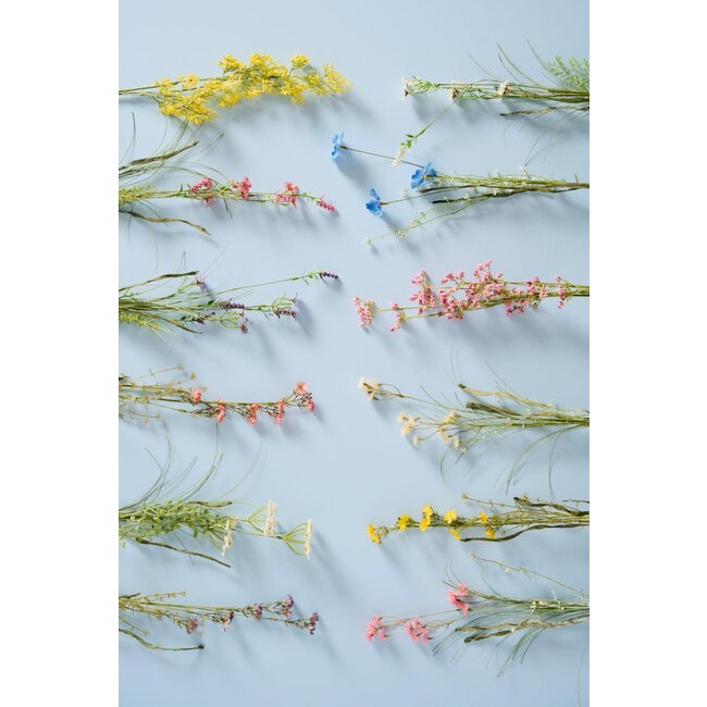 flower 2 kinds of light pink flowers