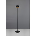 vloerlamp SUAREZ ZWART INCL 1xLED SMD 1,5W , 3000 k,200 Lm