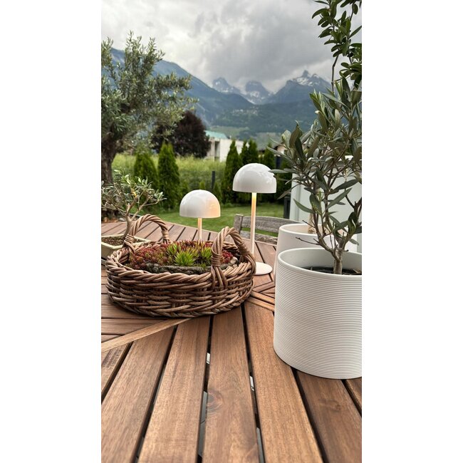 Tim oplaadbare lamp wit, outdoor with dimmer H22 cm