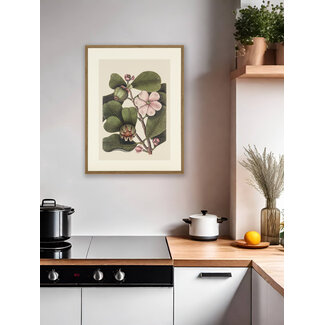 Ablo Blommaert Balsam tree 68X88 CM