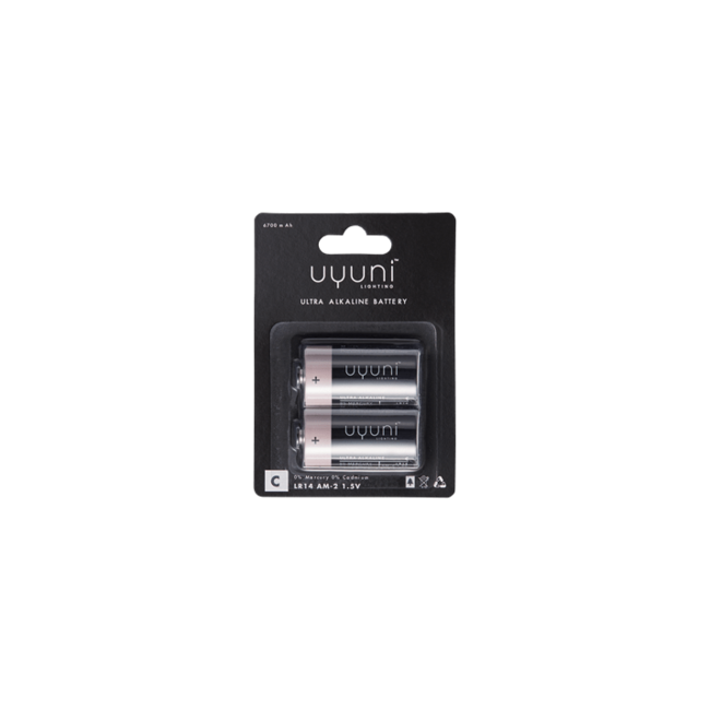 Battery 1,5 v 2 pack