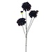 isaa Dahlia spray capitol burgundy 89 cm
