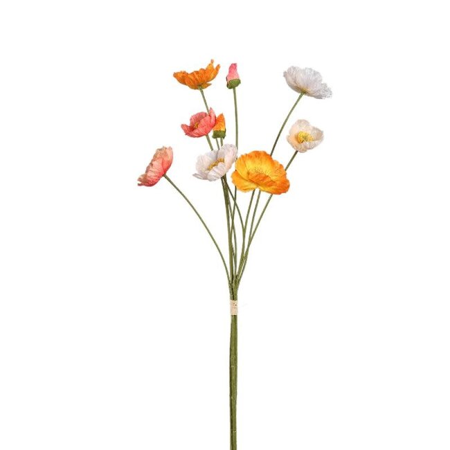 Poppy flower orange and creal bundle with buds