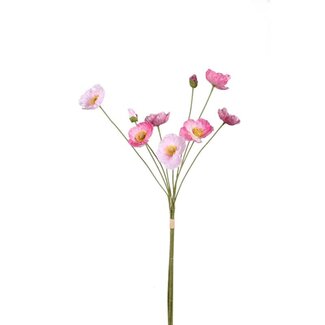 PTMD Poppy flower pink bundle with buds