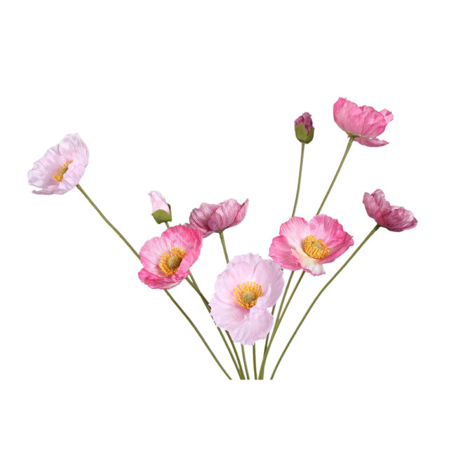 Poppy flower pink bundle with buds