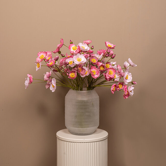 Poppy flower pink bundle with buds