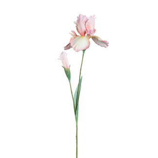 PTMD Garden flower pink iris spray with bud