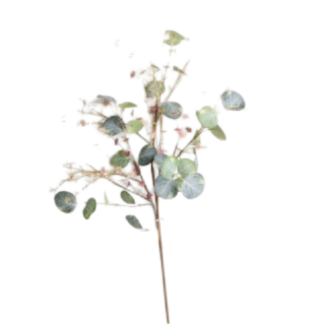 QUETZALES Foamflower beige (37)