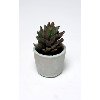 VRANCKX SUCCULENT CLAY POT 13 CM
