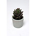 VRANCKX SUCCULENT CLAY POT 13 CM