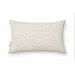 Menza by Veronique De Kock VDK turtle cushion beige 40x60 cm