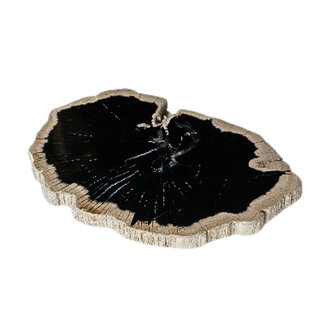 PTMD Dalva black petrified wood deco slice plate round