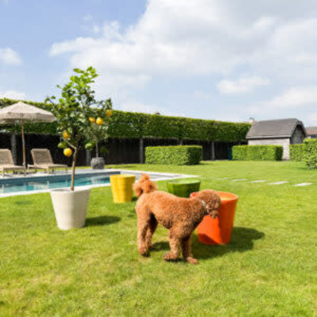 Plantenpot limoeiro beige