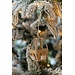 jline Hanger kabelbaan met wit 7X7X16 cm per stuk