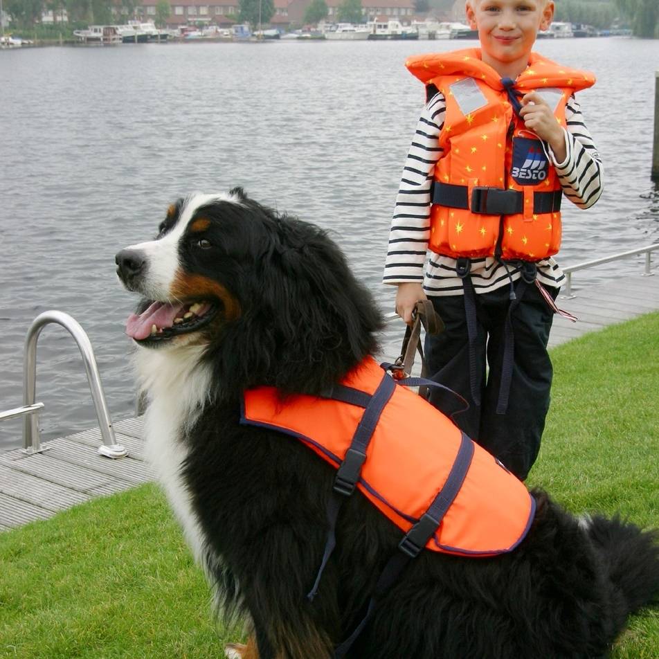 eindeloos klok huisvrouw Hondenzwemvest Oranje - Rubberboot Expert