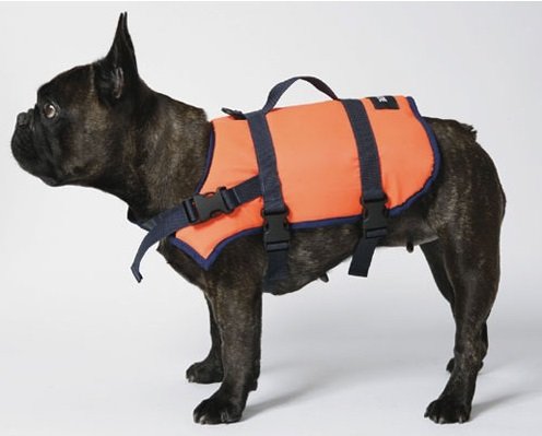 eindeloos klok huisvrouw Hondenzwemvest Oranje - Rubberboot Expert