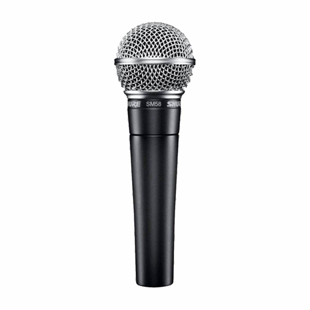 SHURE Shure SM 58 LCE