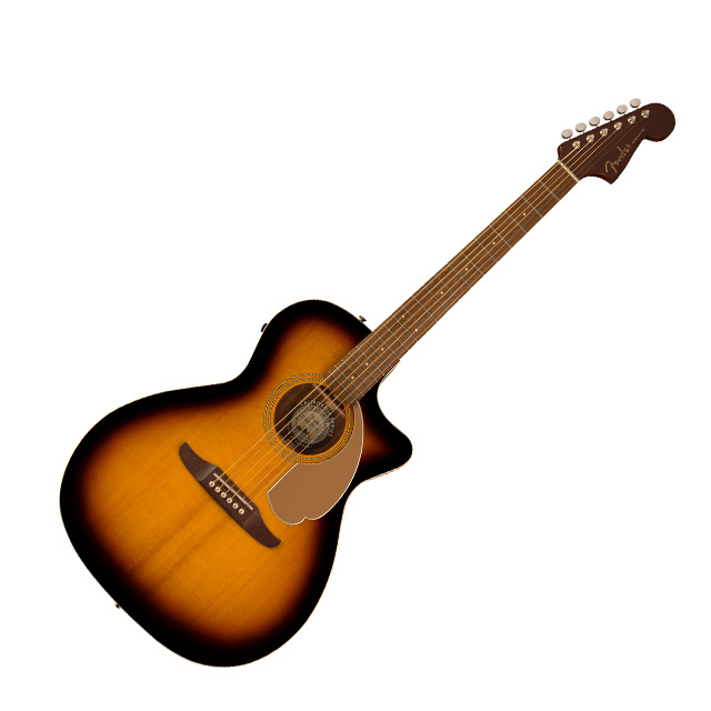 Fender  Fender Newporter Player SB