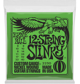 Ernie Ball Ernie Ball 2230 12-String Slinky