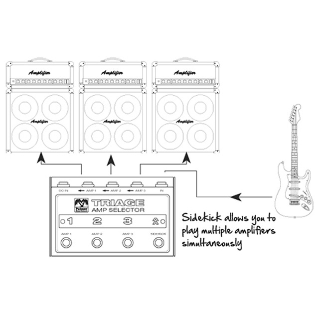 Palmer Palmer - TRIAGE - Amp Selector